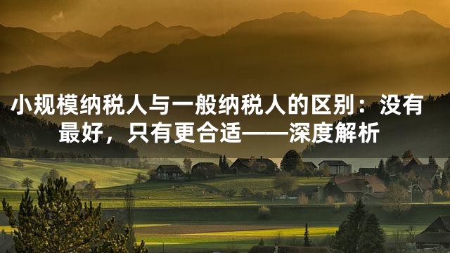 小规模纳税人与一般纳税人的区别：没有最好，只有更合适——深度解析