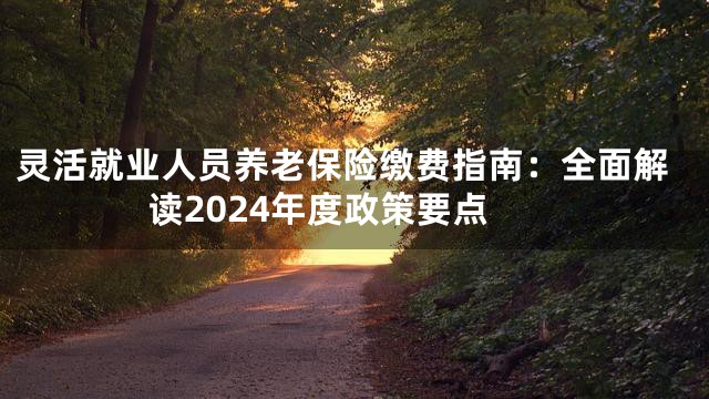 灵活就业人员养老保险缴费指南：全面解读2024年度政策要点