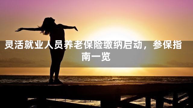 灵活就业人员养老保险缴纳启动，参保指南一览