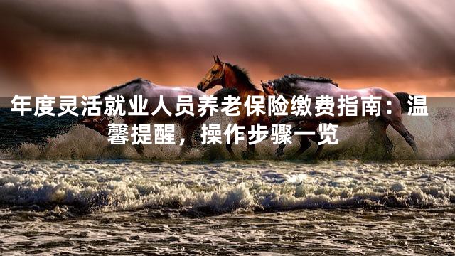 年度灵活就业人员养老保险缴费指南：温馨提醒，操作步骤一览