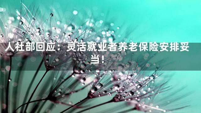 人社部回应：灵活就业者养老保险安排妥当！