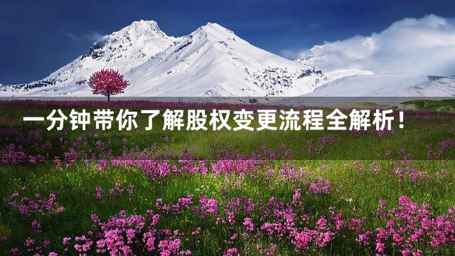 一分钟带你了解股权变更流程全解析！