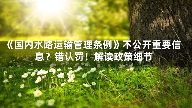 《国内水路运输管理条例》不公开重要信息？错认罚！解读政策细节