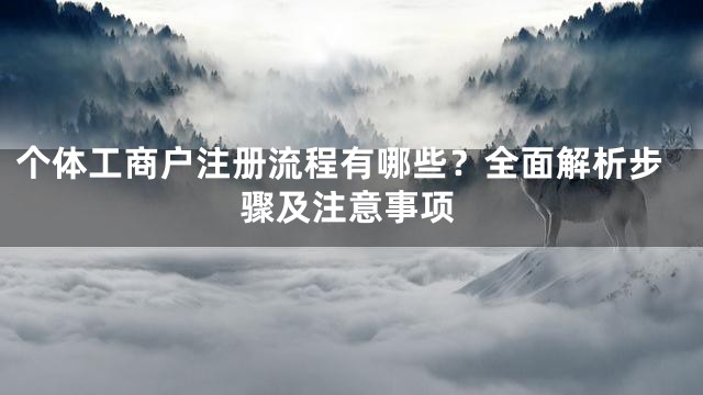 个体工商户注册流程有哪些？全面解析步骤及注意事项