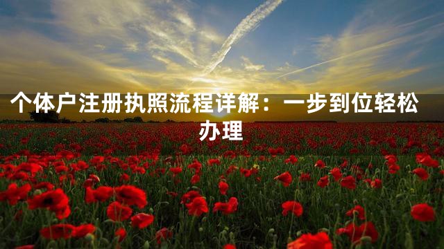 个体户注册执照流程详解：一步到位轻松办理