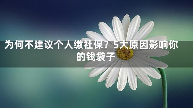 为何不建议个人缴社保？5大原因影响你的钱袋子