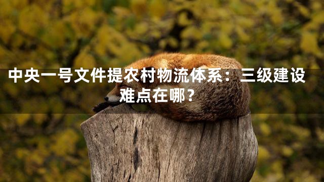 中央一号文件提农村物流体系：三级建设难点在哪？