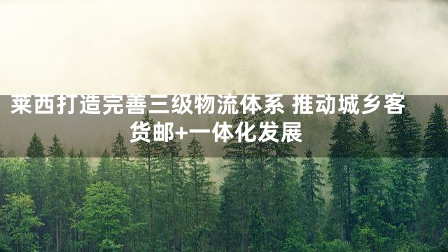 莱西打造完善三级物流体系 推动城乡客货邮+一体化发展