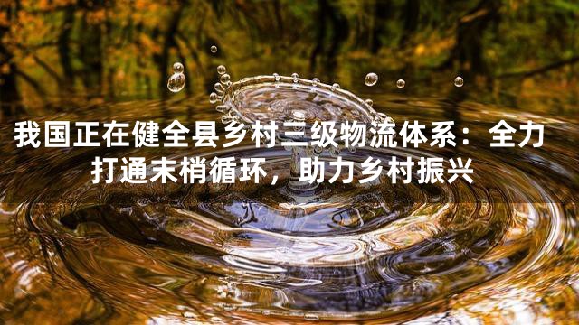 我国正在健全县乡村三级物流体系：全力打通末梢循环，助力乡村振兴