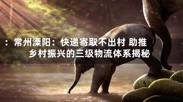 ：

常州溧阳：快递寄取不出村 助推乡村振兴的三级物流体系揭秘