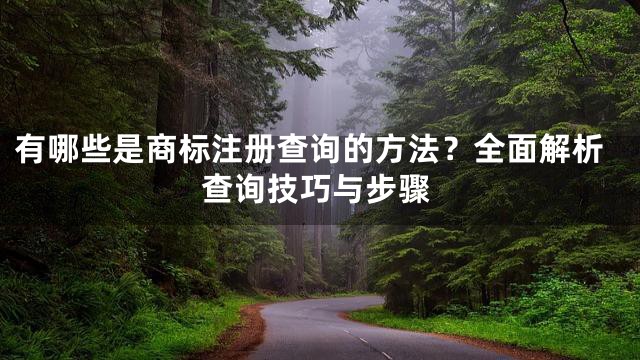 有哪些是商标注册查询的方法？全面解析查询技巧与步骤