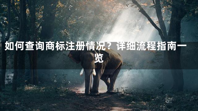 如何查询商标注册情况？详细流程指南一览