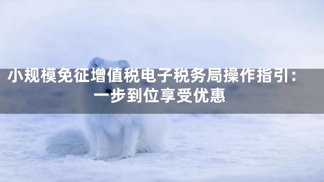 小规模免征增值税电子税务局操作指引：一步到位享受优惠