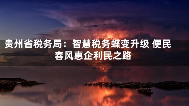 贵州省税务局：智慧税务蝶变升级 便民春风惠企利民之路