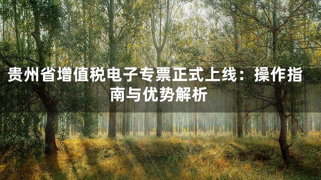 贵州省增值税电子专票正式上线：操作指南与优势解析