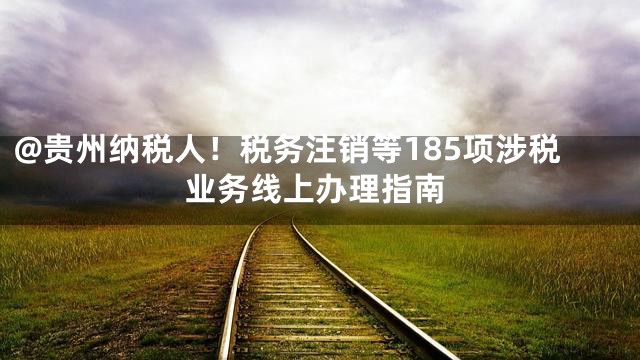 @贵州纳税人！税务注销等185项涉税业务线上办理指南