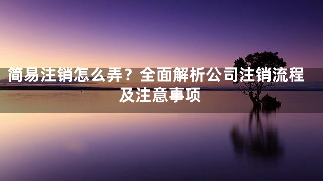 简易注销怎么弄？全面解析公司注销流程及注意事项