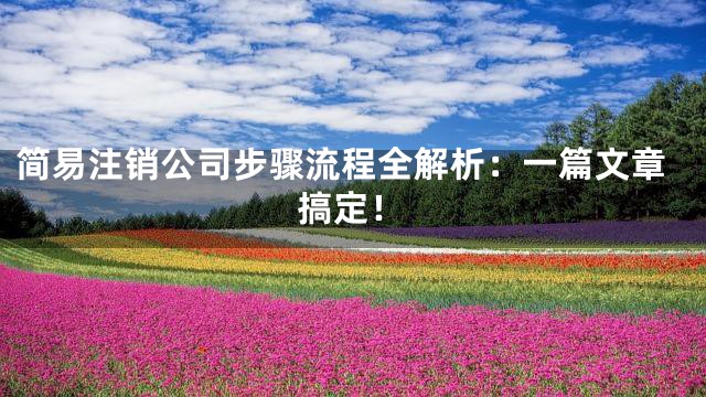 简易注销公司步骤流程全解析：一篇文章搞定！