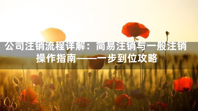 公司注销流程详解：简易注销与一般注销操作指南——一步到位攻略