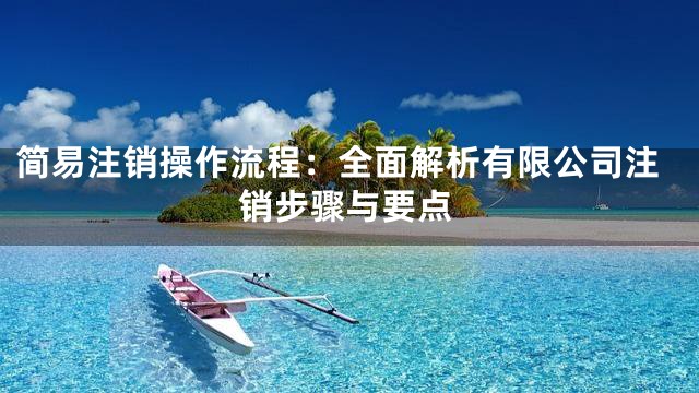 简易注销操作流程：全面解析有限公司注销步骤与要点