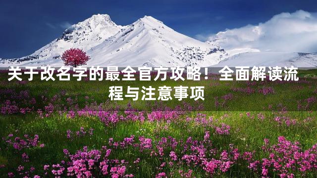 关于改名字的最全官方攻略！全面解读流程与注意事项