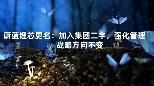 蔚蓝锂芯更名：加入集团二字，强化管理，战略方向不变