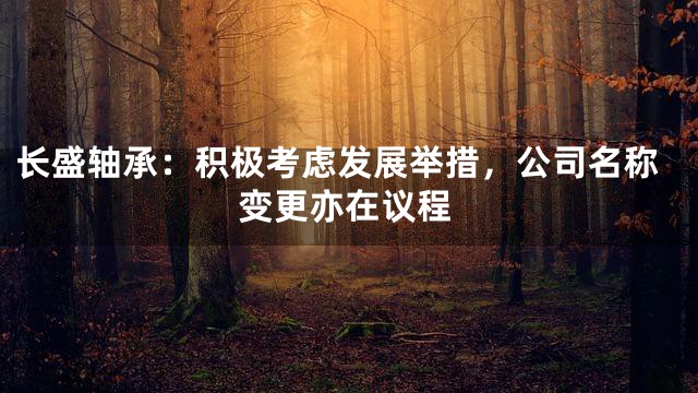 长盛轴承：积极考虑发展举措，公司名称变更亦在议程