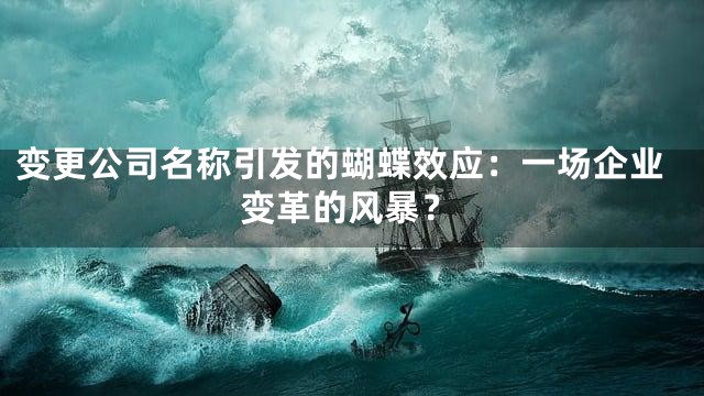 变更公司名称引发的蝴蝶效应：一场企业变革的风暴？