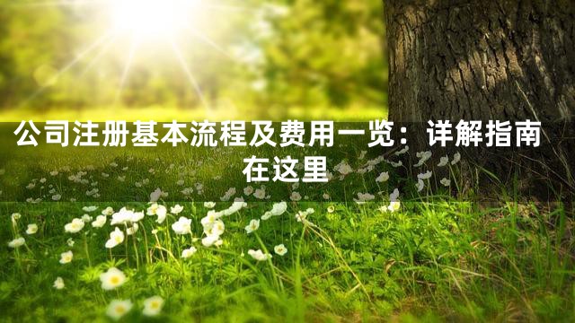公司注册基本流程及费用一览：详解指南在这里