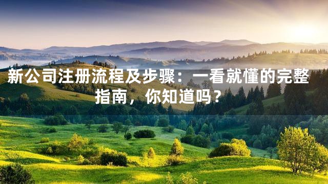 新公司注册流程及步骤：一看就懂的完整指南，你知道吗？