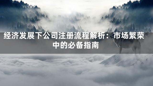 经济发展下公司注册流程解析：市场繁荣中的必备指南