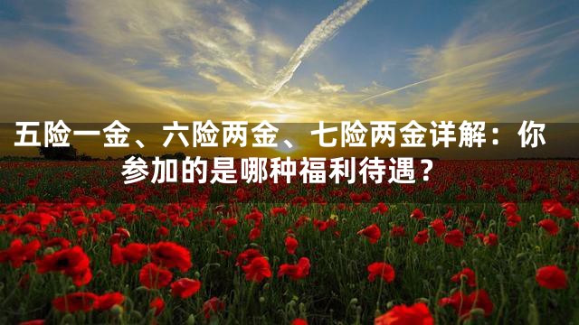 五险一金、六险两金、七险两金详解：你参加的是哪种福利待遇？