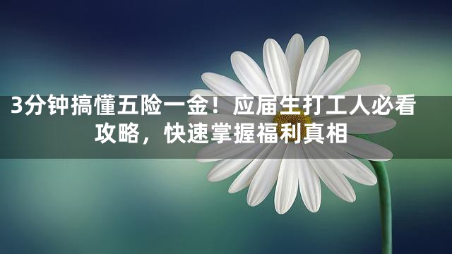 3分钟搞懂五险一金！应届生打工人必看攻略，快速掌握福利真相