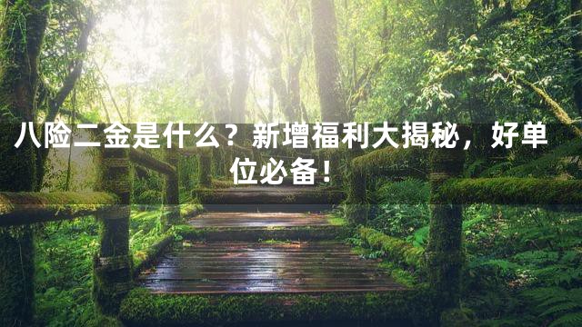 八险二金是什么？新增福利大揭秘，好单位必备！