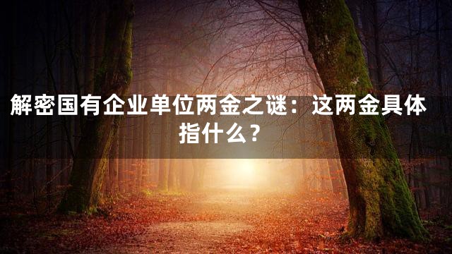 解密国有企业单位两金之谜：这两金具体指什么？