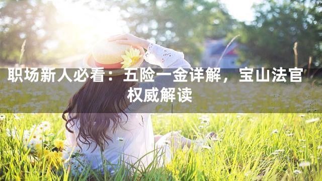 职场新人必看：五险一金详解，宝山法官权威解读