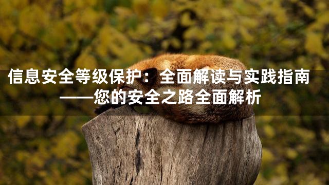 信息安全等级保护：全面解读与实践指南——您的安全之路全面解析