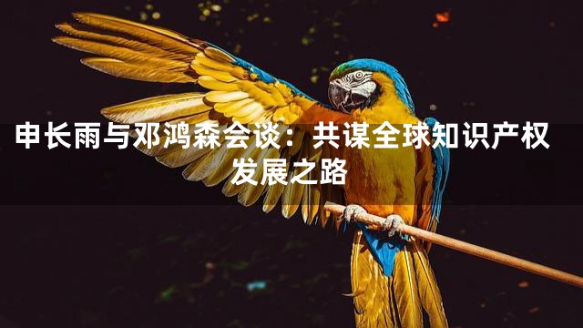 申长雨与邓鸿森会谈：共谋全球知识产权发展之路