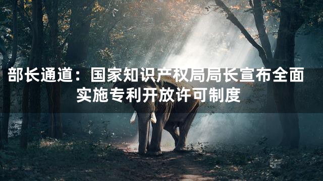 部长通道：国家知识产权局局长宣布全面实施专利开放许可制度