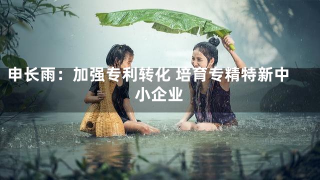 申长雨：加强专利转化 培育专精特新中小企业
