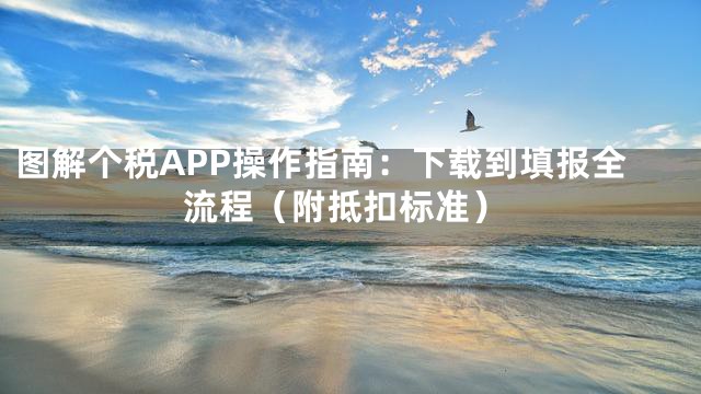 图解个税APP操作指南：下载到填报全流程（附抵扣标准）