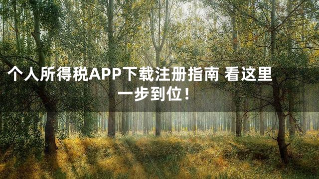 个人所得税APP下载注册指南 看这里一步到位！