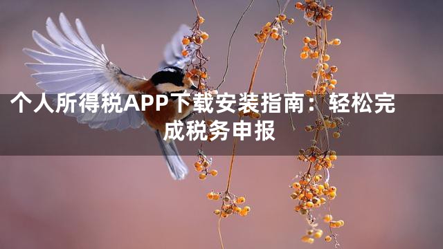 个人所得税APP下载安装指南：轻松完成税务申报