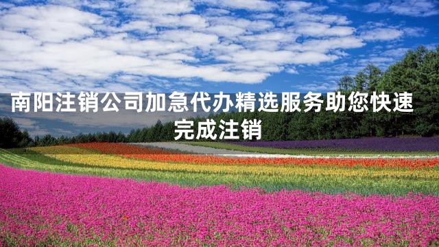 南阳注销公司加急代办精选服务助您快速完成注销