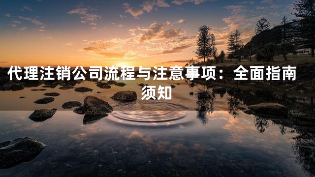 代理注销公司流程与注意事项：全面指南须知
