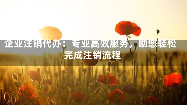企业注销代办：专业高效服务，助您轻松完成注销流程