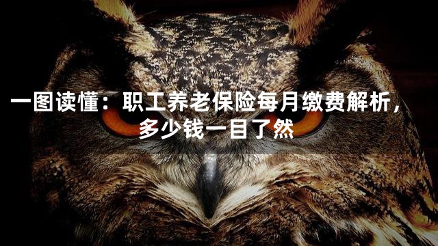 一图读懂：职工养老保险每月缴费解析，多少钱一目了然