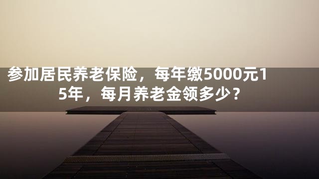参加居民养老保险，每年缴5000元15年，每月养老金领多少？