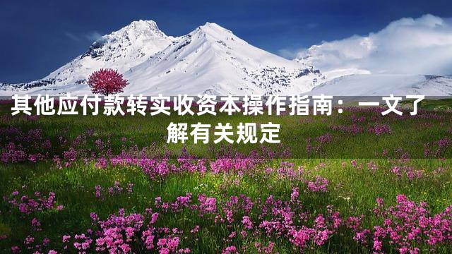 其他应付款转实收资本操作指南：一文了解有关规定