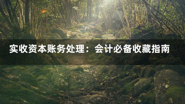 实收资本账务处理：会计必备收藏指南